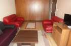 Apartament 1 camera in bloc nou Gradiste - 11