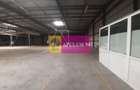 Spatiu Logistic langa Bucuresti Hala 5000 mp - 23