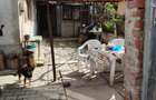 Casa CATARGIU - langa Medicina ?i Spitalul Jude?ean - Craiova (Dolj) - 8