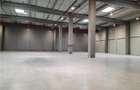 Spatiu Industrial - 5000 mp - Logistica - Productie - Depozitare - Distributie - 6