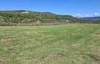 Teren de 2500 mp, în Sfăcăru
