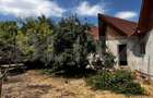 Casa pe parter Brestei, 125 mpu, 470 mp teren - 5