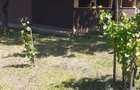 vand casa cu teren 800mp in Mosteni jud Teleorman - 4