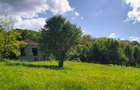 Vand urgent! Mada Muntii Apuseni! casa teren intravilan,10.000mp toate actele i regula, foarte linistit, in mijlocul naturii la 30 min de Geoagiu-Bai! - 3