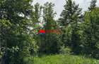 Teren intravilan 1.300 mp in Cornu de Jos, Prahova zona linistita, u - 7