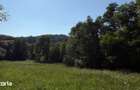 Teren Parau | Valea Danului, Curtea de Arges | Vidraru | - 4