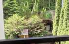 Apartament cu 2 camere de vanzare in Sinaia - 8