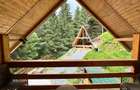 Chalet & A-Frame Rucar | Business Turistic Premium, 2107mp - 17