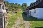Casa cu teren generos de vanzare in Magurele, jude?ul Bist - Magurele (Bistrita-Nasaud) - 5