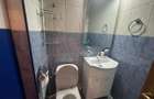 Apartament mobilat si utilat modern, suprafata generoasa , zona Trocadero - 35