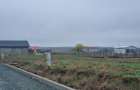 Teren Poarta Alba 16800euro+tva - 10