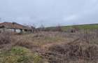 Teren vanzare intravilan Lac Dridu Ialomita, 920 mp - 2