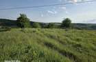 Teren extravilan de vanzare- priveliste panoramica, vie si pomi fructiferi - 4