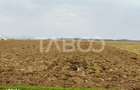 Teren intravilan 2 ha deschidere drum zona Industriala Vest Sibiu