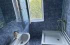 Camera de camin, 25 mp, zona Valea Rosie - 4