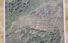 Vand teren partial intravilan Loc. Serani, nr.68, Com. Borod, Jud. Bihor 32965 mp 1,5 Eur mp - 2