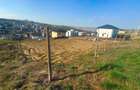 Teren Hlincea - Iasi - 2
