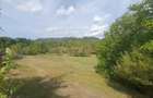 Teren intravilan  4.512 m  – Nucșoara  Argeș, 2 căi de acces, toate utilitățile.
