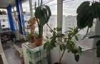Apartament 2 camere progresul - 7
