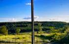 TEREN DE VANZARE 1471 m Betfia/Sanmartin /Oradea - 4