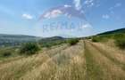 Teren Intravilan | Investitie | Baciu | Comision 0%