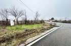 Teren de vanzare, 7200 mp, parcelabil, zona Bogdanesti - 2