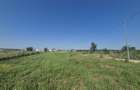 Teren intravilan in Izvorani Delta Snagov