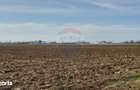 Teren 5,000mp Moara Vlasiei / Strada Morii - 3