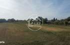 Dascalu -Teren intravilan arabil 7.182 mp