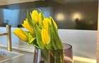 Casa duplex cu 4 camere, curte ?i aer condi?ionat - 13