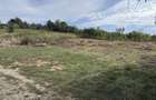 Teren intravilan 1171 mp, deschidere 29 ml, zona linistita - 4