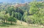 Teren de vanzare | Magura, Brasov | Oportunitate de Investitie - 8