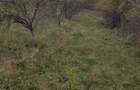 Teren 6703 mp cu 50m deschidere la DN73C, Domne?ti. Acces facil la drumuri importante. 6 EUR/mp - 6