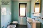 Complex imobiliar, hala, birouri si apartament, teren 1896 mp, Piatra Neamt - 13