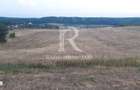 Teren extravilan | Betfia | 9664 Mp | Bihor - 1