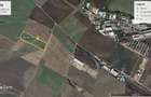 Teren de Vanzare: 44950 mp. Zona Industr. Chitila Centura Bucuresti Nord-Vest  - 7