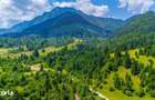 Natura 18.900 mp in Sacele, cu rau ?i priveli?te montana