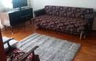 Inchiriez ap 2 camere gheorgheni aleea baisoara - 8