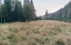 Teren de 2553 mp, în Smida - 2