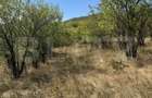 Teren intravilan de vanzare, 1.400 mp, zona Viile Noi