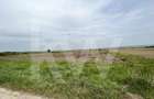 Teren 14.800 mp - PUZ Constructii - Zona Aeroport Sibiu - 1