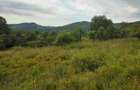 Vand teren extravilan - Comanca (Baile Olanesti) - 6