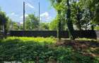 Teren Tatarasi Str. Ion Creanga - Oportunitate investitie ! - 6