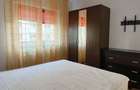 Apartament cu 3 camere decomandat în Lotrioara - 8