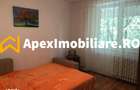 Apartament 2 camere de inchiriat Tineretului Bucuresti | ApexImobiliar - 7