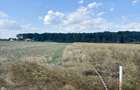 Lot teren intravilan Ciolpani - padurea Snagov - 4