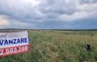 Vand 10 000 mp, teren intravilan, Ratesti, Furduesti, la asfalt Dj508