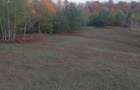 Vand 2.9 ha teren chisindia sat vasoaia/pret pe hectar - 3
