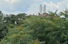 Apartament decomandat de 2 camere, bloc 2017, Dr. Iacob Felix - Victor - 16