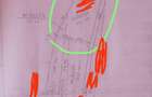 Vand teren extravilan zona Sub Coasta - Hodai - 5